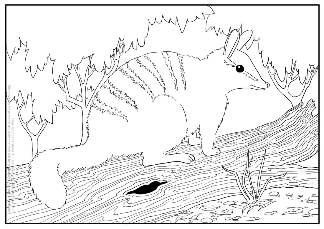 Colouring In Page for Kids